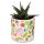 Vaso para Plantas de Interior - Pick of the Bunch Autumn Falls - L