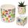 Vaso para Plantas de Interior - Pick of the Bunch Autumn Falls - L