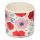 Vaso para plantas de Interior Pick of the Bunch Papoila S