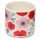 Vaso para plantas de Interior Pick of the Bunch Papoila S