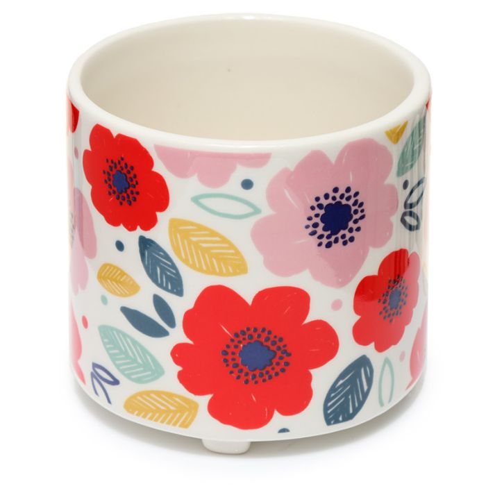 Vaso para plantas de Interior Pick of the Bunch Papoila S