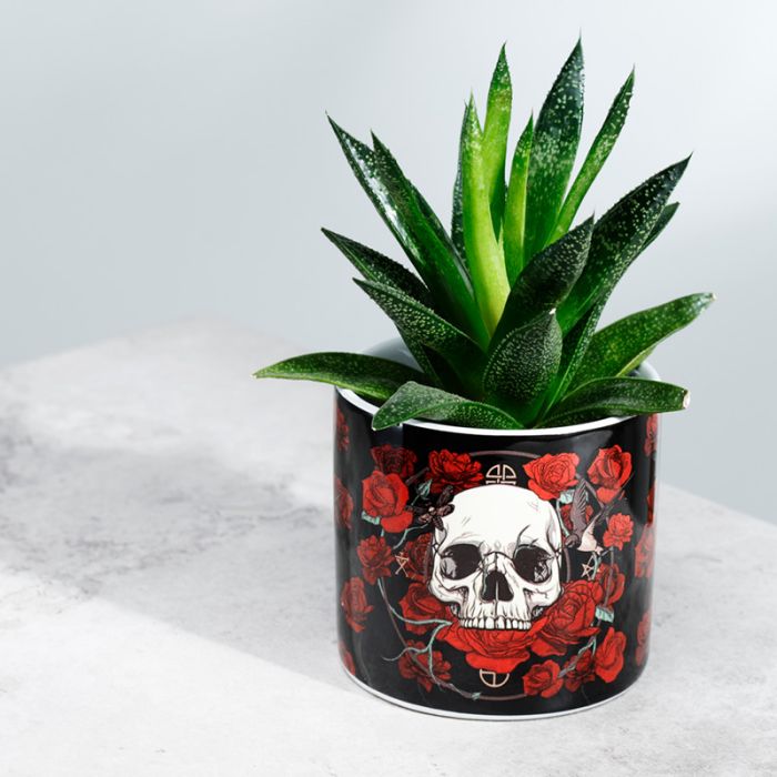 Vaso de Cerâmica para plantas de interior - Rosas e Caveiras- Pequeño