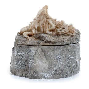 Caixa Esqueleto de Dragão Ossos Adormecidos - Shadows of Darkness