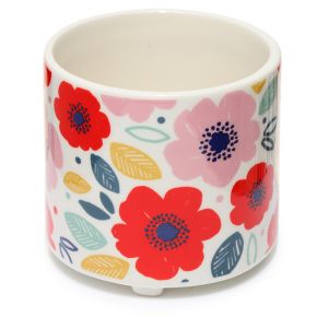 Vaso para plantas de Interior Pick of the Bunch Papoila S