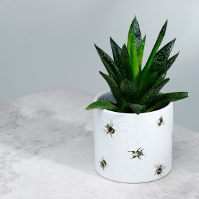 Vaso para plantas de interior - A Abelha dos Prados de Néctar S