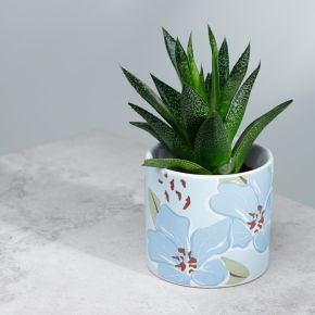 Vaso para plantas de interior Florens Hesperantha S